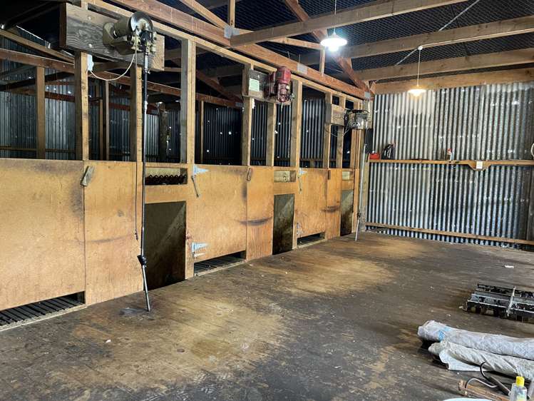 Mangakahu Valley Road Waimiha-Ongarue_27