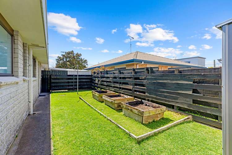 122B Fourteenth Avenue Tauranga South_11