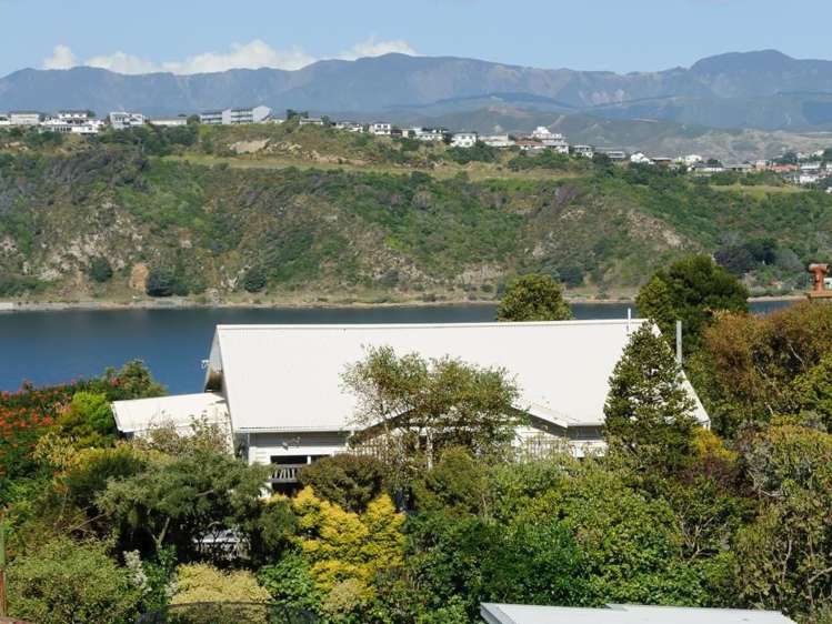 58a Kainui Road Hataitai_1