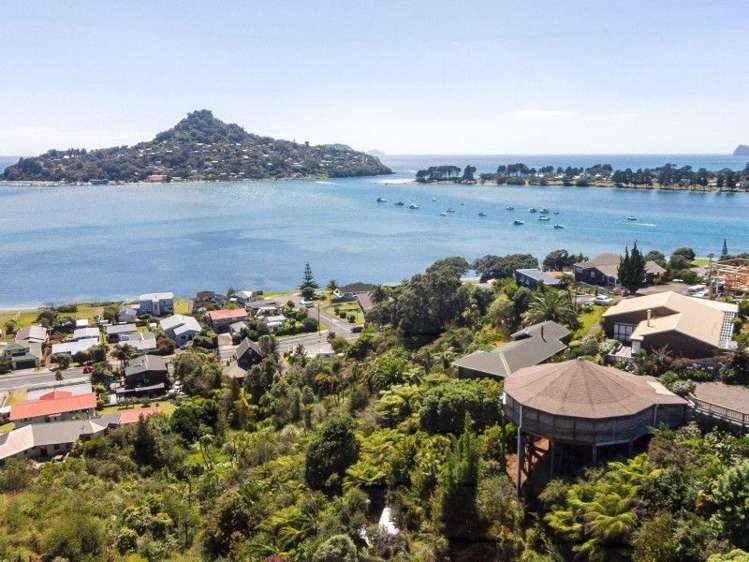 12 Pine Grove Tairua_17