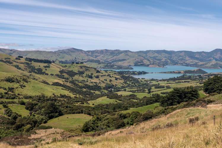 175 Barrys Bay Valley Road Barrys Bay_29