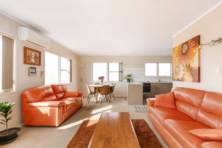 121 Greerton Road Gate Pa_3