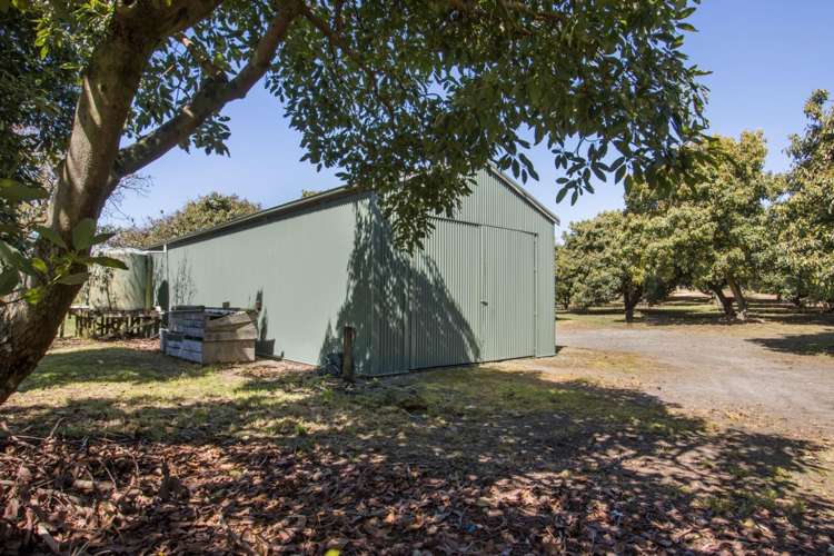 155 Ongare Point Road Katikati_28