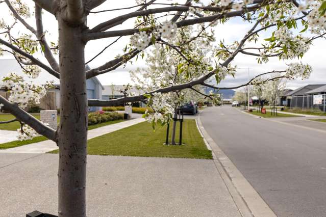 Lot 117 Bond Street Springlands_3