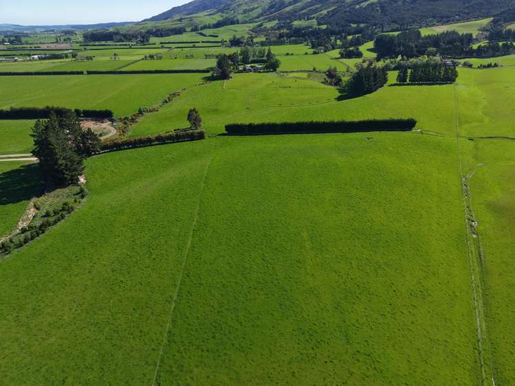 35 Maungatua Road Taieri Plain_32