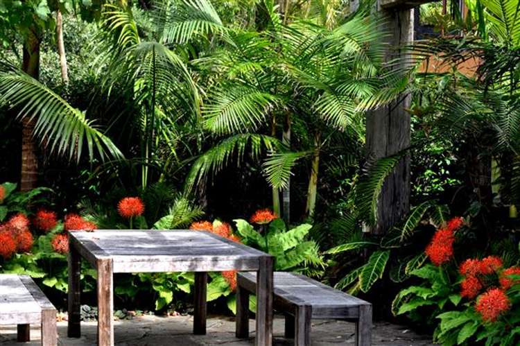 283 State Highway 10 Cable Bay_3