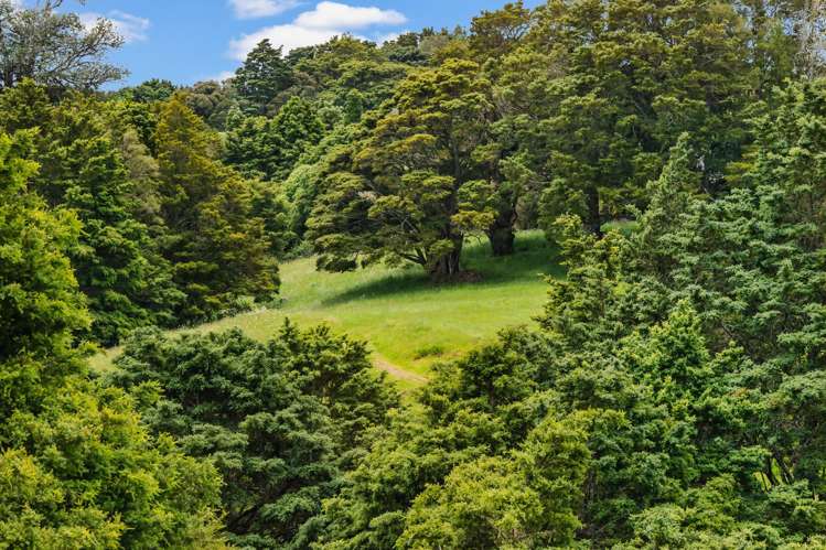 76 Forest View Road Kamo_28