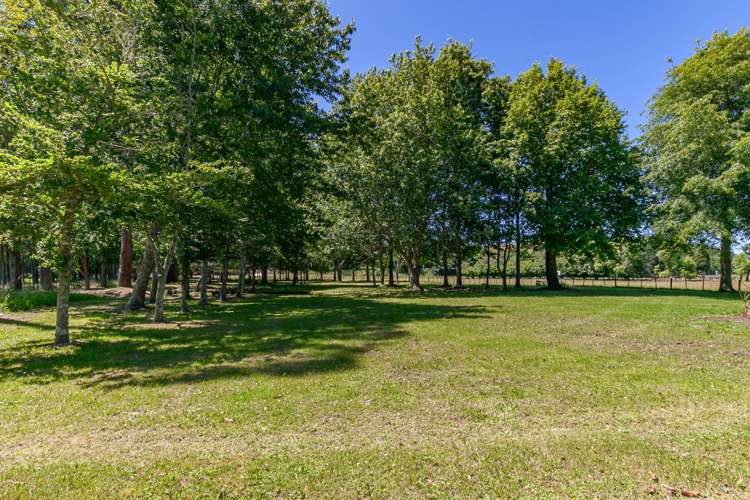 1971 Moutere Highway Upper Moutere_17