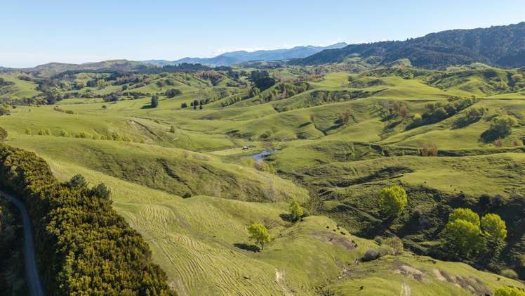 329 North Road Masterton_12