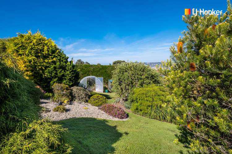 115 Belford Street Waverley_24