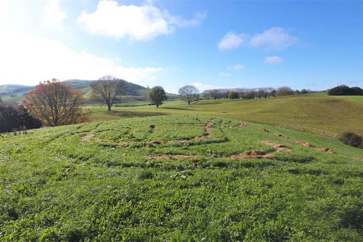 109 Ellis Road Otorohanga_22