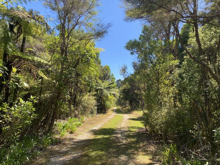 1864 Takaka-Collingwood Highway Milnthorpe_12