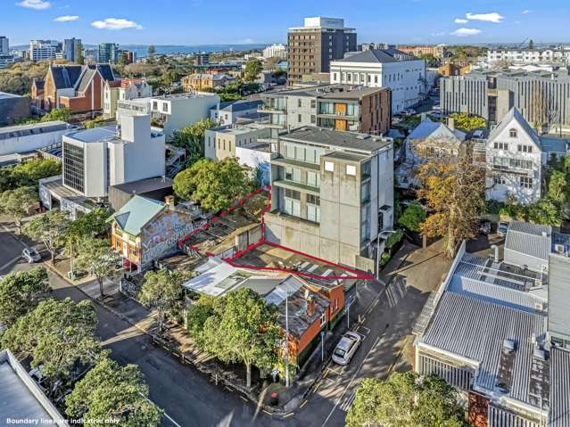 40 Karaka Street Eden Terrace_1