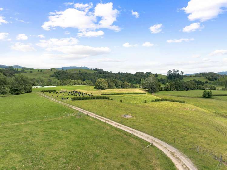 50 Franklin Road Waihi_7