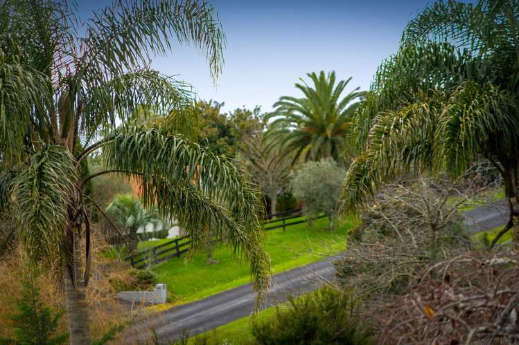 175 Macwhinney Drive Drury_49