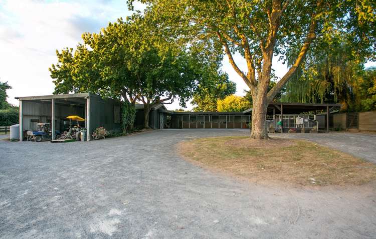 5 Hunter Lane Cambridge_16