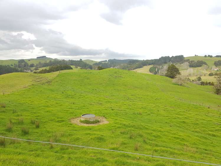 504 Wairere Road Paparoa_23