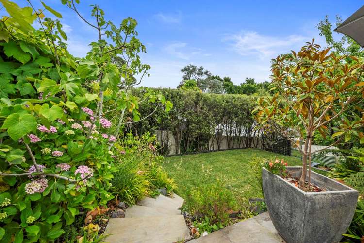 37 Ewen Alison Avenue Devonport_3