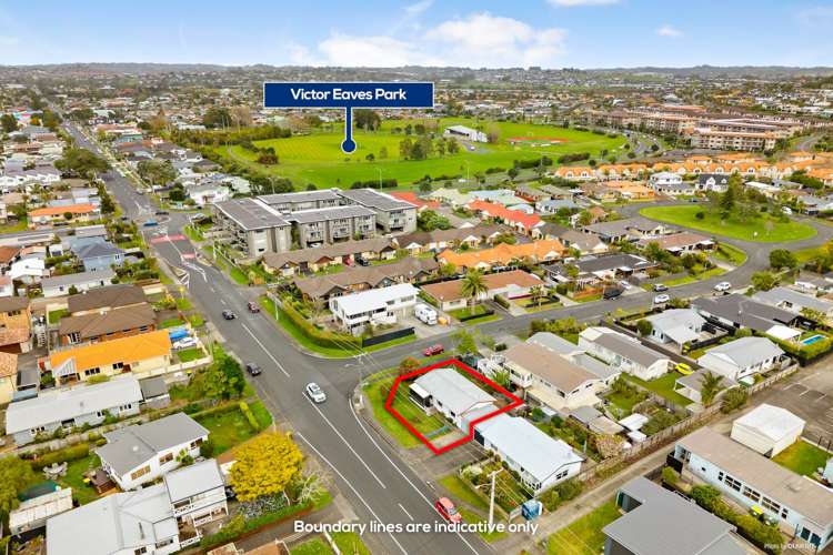 2a Nukumea Common Orewa_9