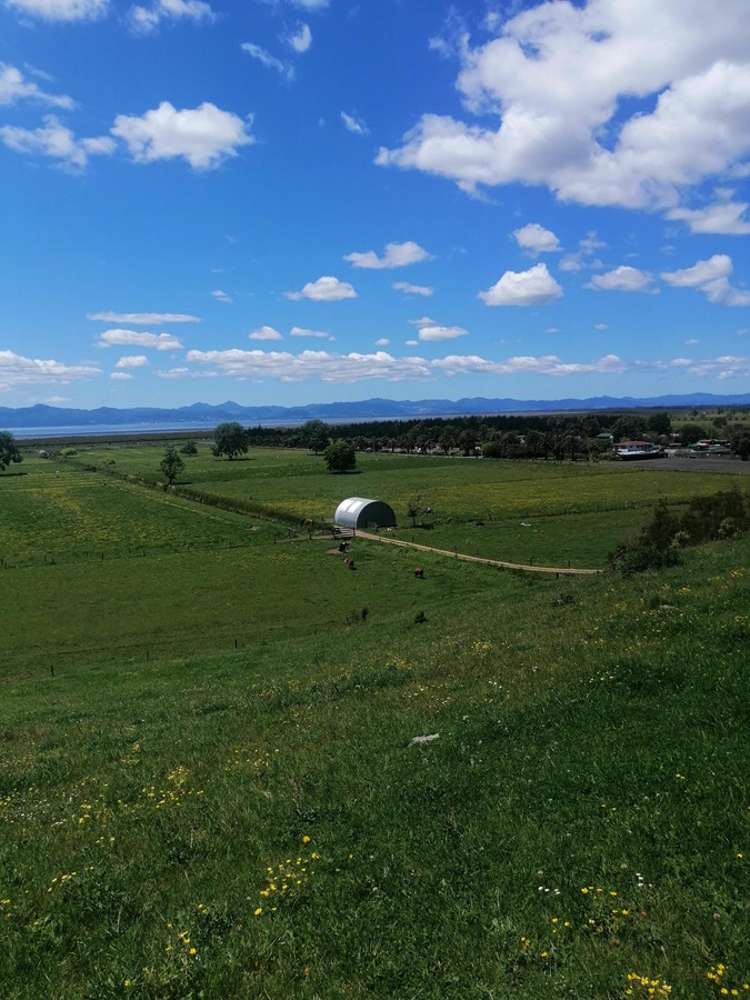 722b Back Miranda Road Miranda Franklin Houses for Sale One Roof