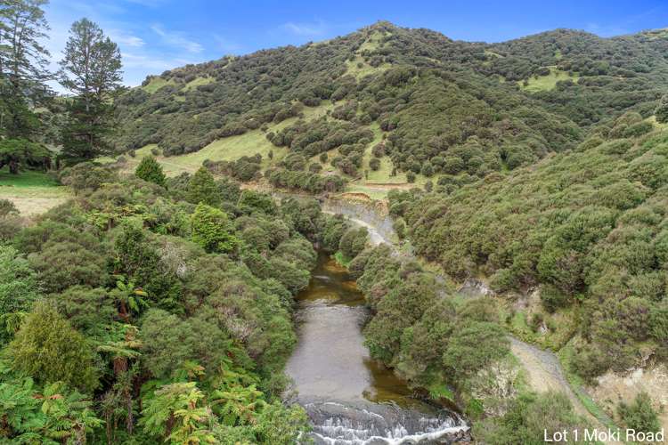 Lot 1 Moki Road, Tahora Taumarunui_21