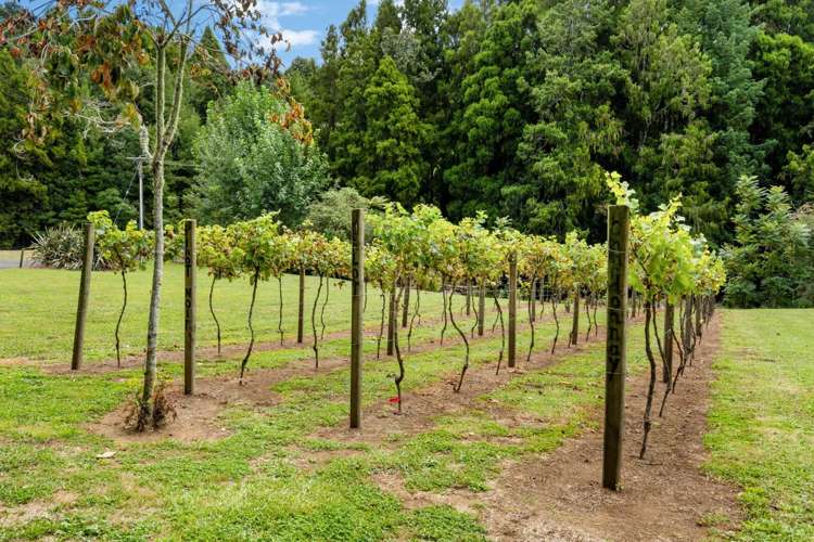 239A Waitawheta Road, Waikino Waihi_23