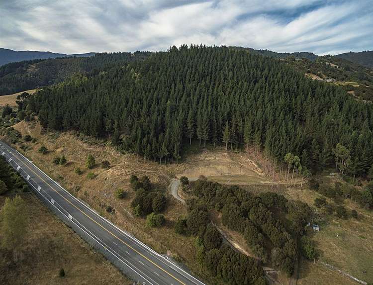 584 Wakapuaka Road Wakapuaka_5