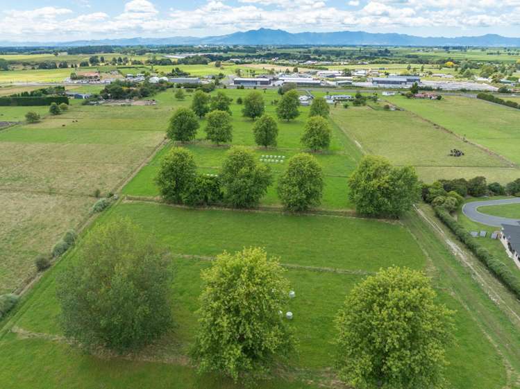 222 Morrinsville-Walton Road Morrinsville_11
