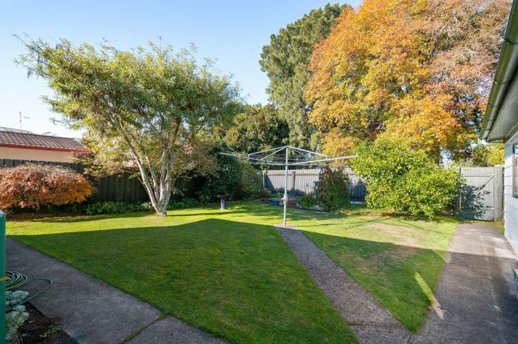 17 Hibiscus Avenue Hamilton Lake_22