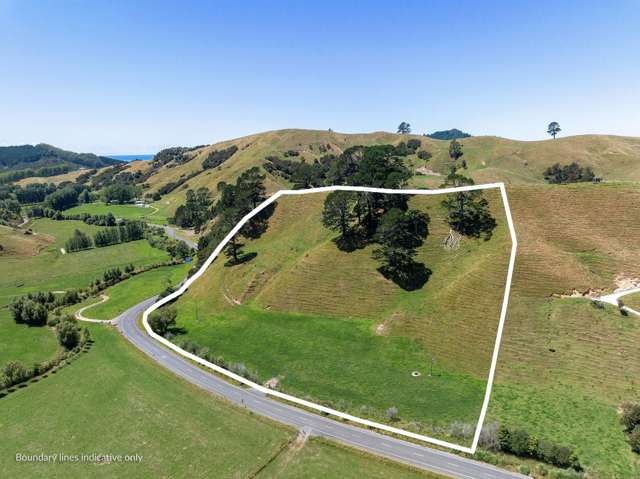 273 Wentworth Valley Road Whangamata_1