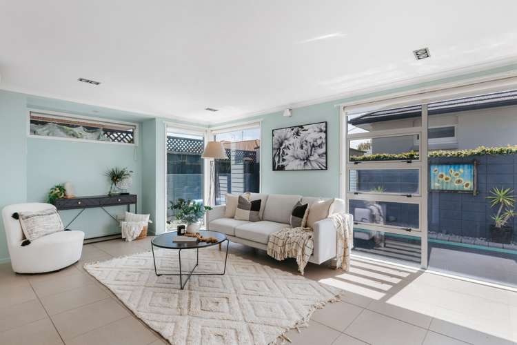 4 Macmillan Street Tauranga South_5