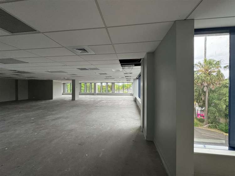 303 Manukau Road Epsom_2