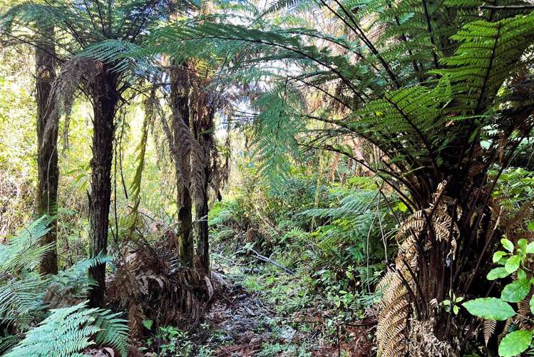 754 Rutherglen Road Rutherglen_7