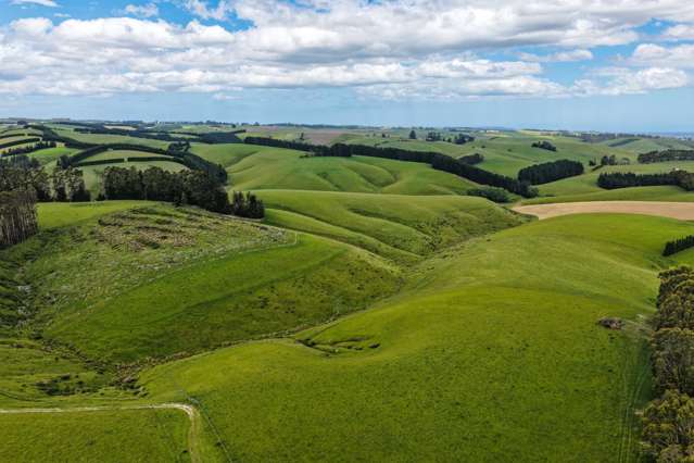 144 Block Road Pukeawa_2