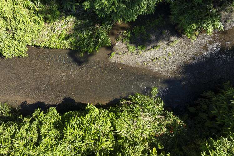 1918 Kohumaru Road Peria_27