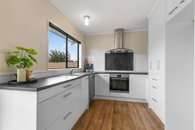 36A Wilton Street Levin_1