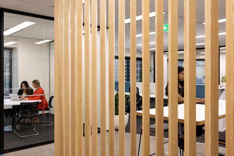 205 Queen Street Auckland Central_1