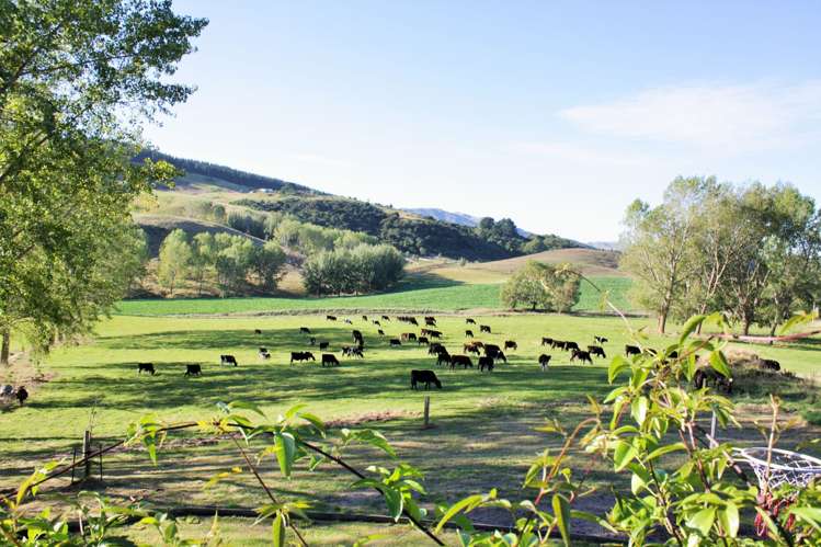 782 Glendhu Road Motunau_10