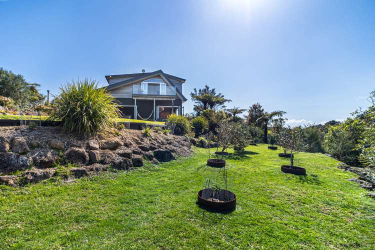 61 Koru Rise Pumpkin Hill_18