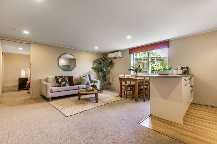 113 Selwyn Avenue Mission Bay_23