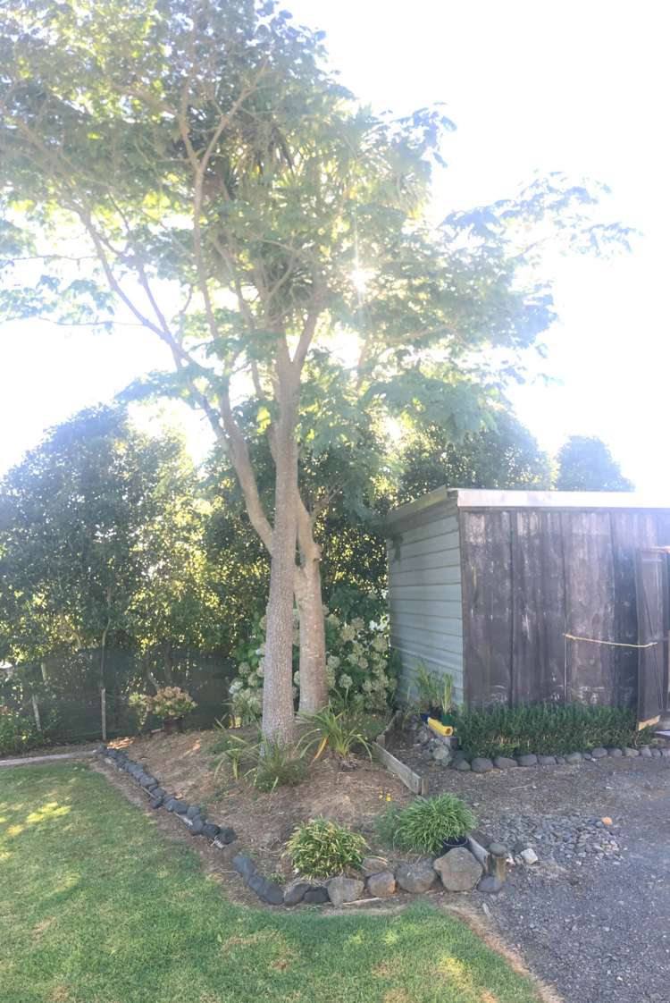 664a Onewhero-Tuakau Bridge Road Onewhero_11