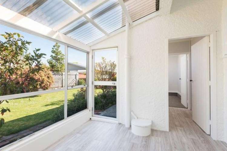 56 Tasman Street The Wood_12