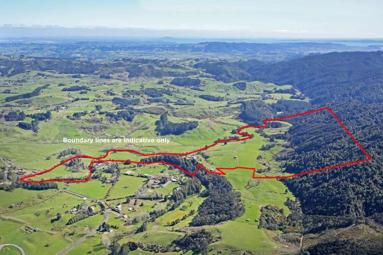 35 Ti Tree Way Hunua_1