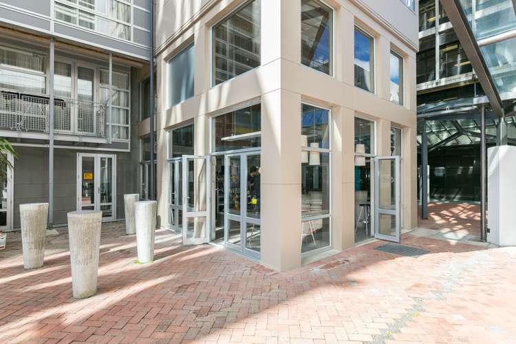 92/43 Mulgrave Street Thorndon_9