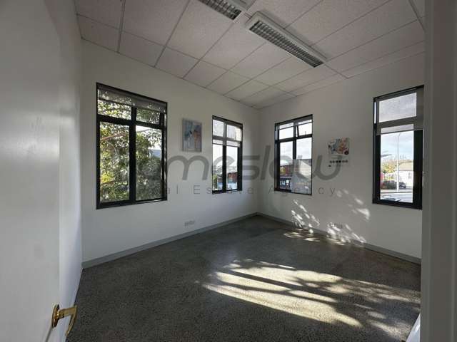 483 Richmond Road Grey Lynn_2