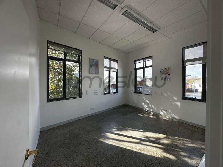 483 Richmond Road Grey Lynn_2