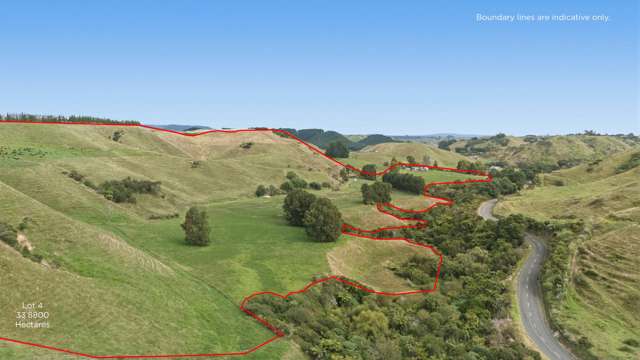 147A Pikowai Road Pikowai_2