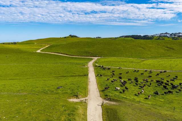 559 Mahuta Road Dargaville_3