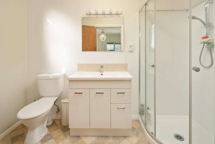 14 Cornwall Street Picton_20