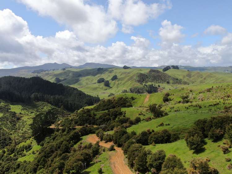613 Pirongia West Road Oparau_0